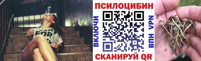 Псилоцибиновые грибы Magic Shrooms  Плёс 