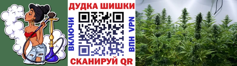 ОМГ ОМГ маркетплейс  Плёс  Бошки марихуана тримм 